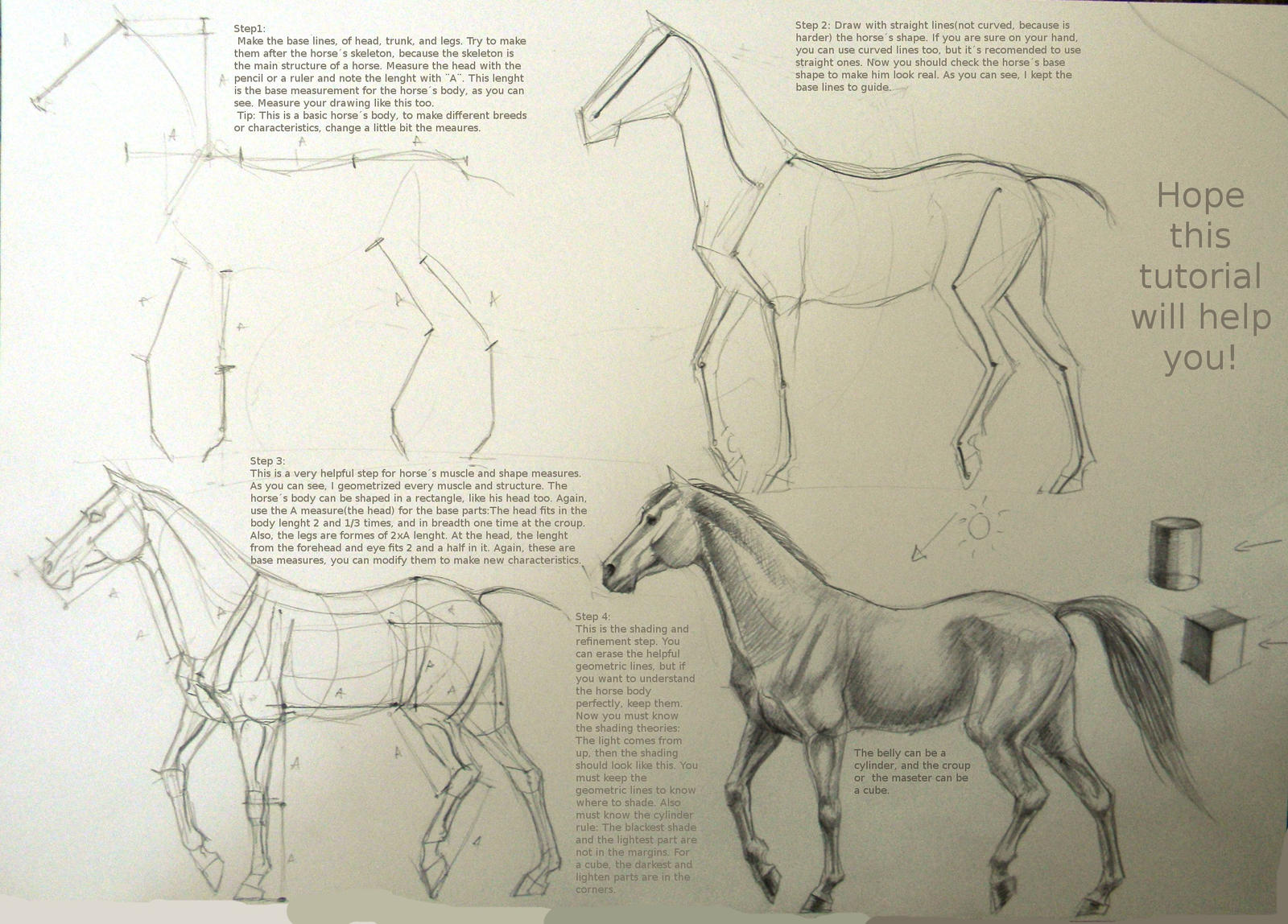 Horse drawing tutorial by Winnetah on DeviantArt