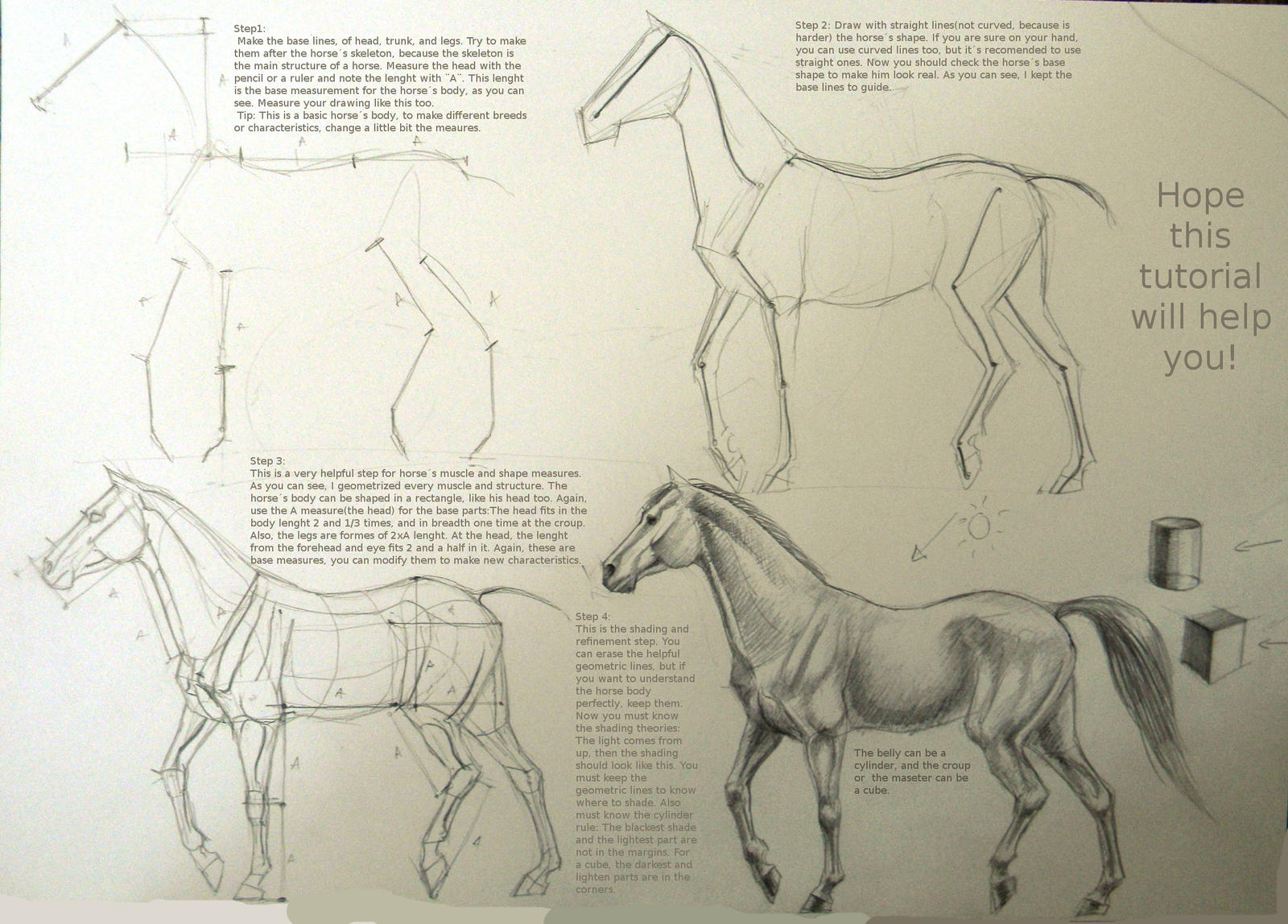 Horse drawing tutorial