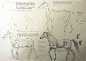 Horse drawing tutorial