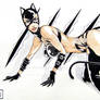 catwoman by tom ross