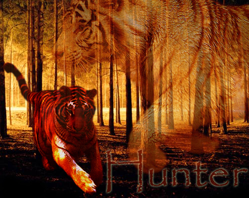 Hunter: Tiger