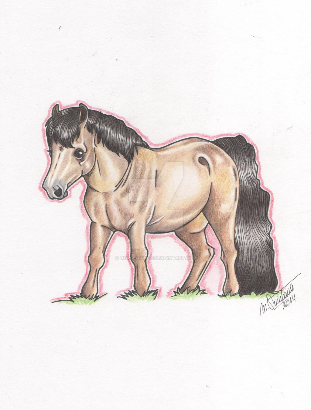 Pony Shetland