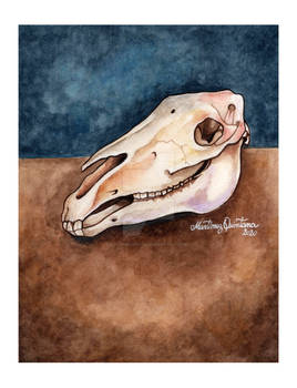 Skull Horse Watercolor