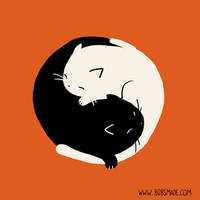 Cat Yin Yang