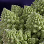 Romanesco cabbage