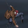 Wanderer Classic Spider Man