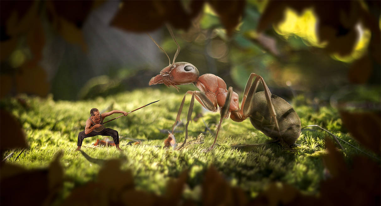 The Battle by JulianRohm on DeviantArt