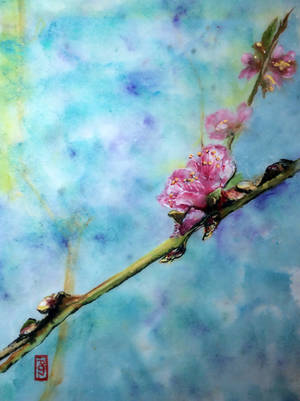 Peach branch greeting by RosalindClarke Peach branch greeting by RosalindClarke