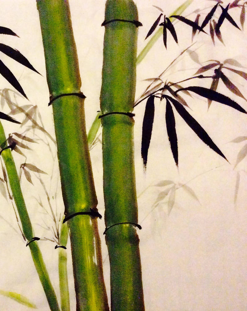 Bamboo spring by RosalindClarke