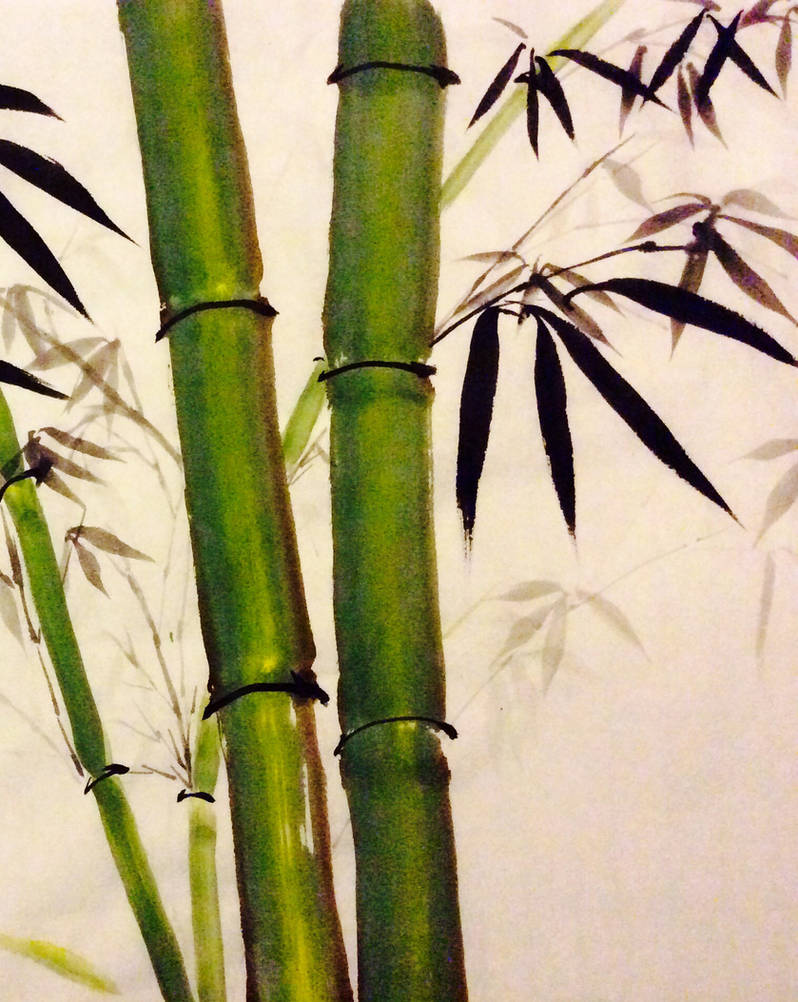 Bamboo spring by RosalindClarke Bamboo spring by RosalindClarke