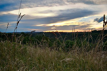 Evening Light