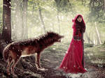 Encounter with the wolf