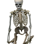 Kneeling skeleton