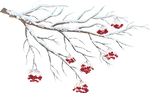 Branches winter png