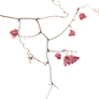 flower png