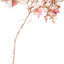 flower png