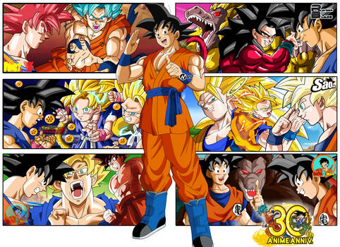 Goku 30TH Aniversary Poster