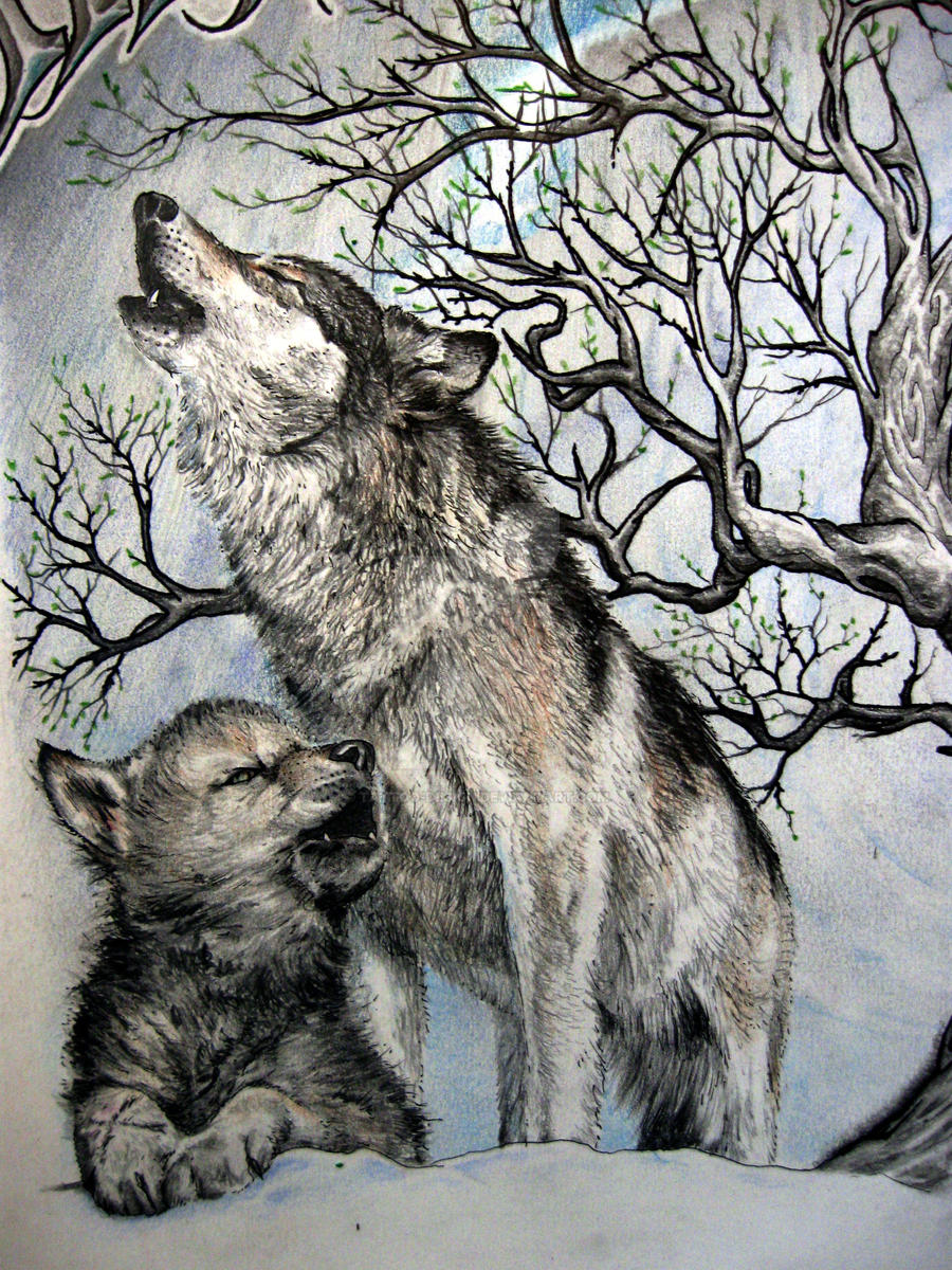 Two Wolves Scetch Battle of two wolves detail by Tattoo-Design on DeviantArt