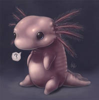 Axolotl