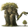 Tree giant