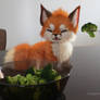 Fox no like brocolli