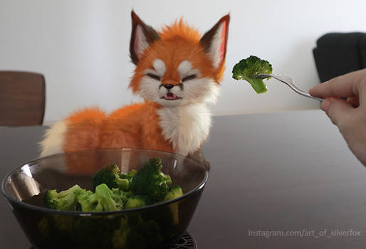 Fox no like brocolli