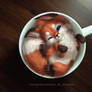 A cup of fox