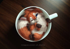 A cup of fox