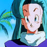 Bulma relief