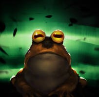 Hypno Toad speed paint