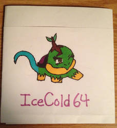 Paper pocket for IceCold64