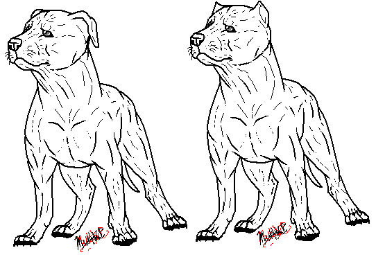 Pit Bull Makeable By Muttkip On Deviantart Pit Bull Makeable By Muttkip On Deviantart