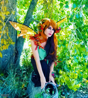 Curious Faerie