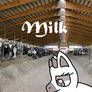 Milk The Cow