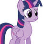 Confused Twilight