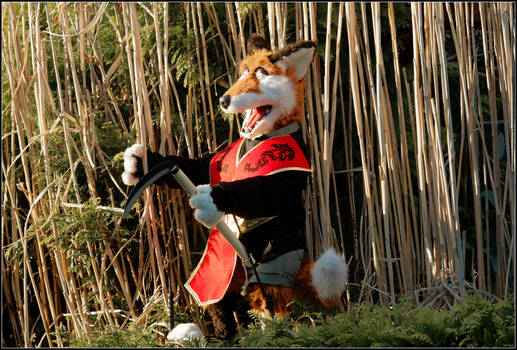 Ninja Fox