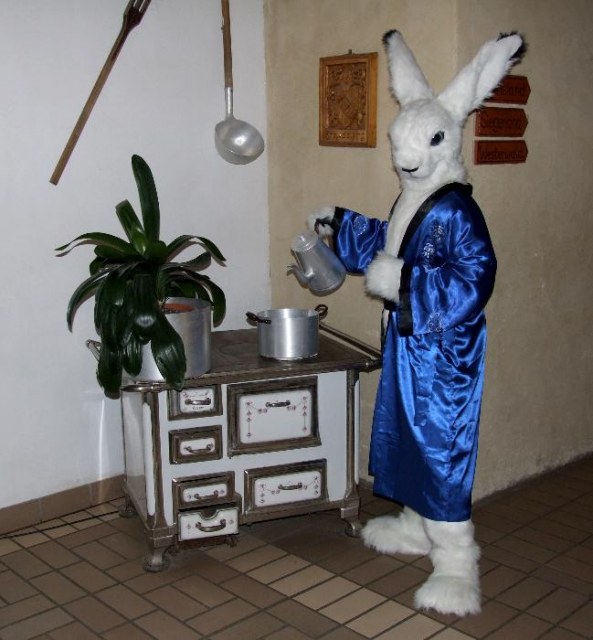 A hares kitchen