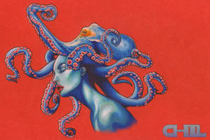 OCTOPUSS