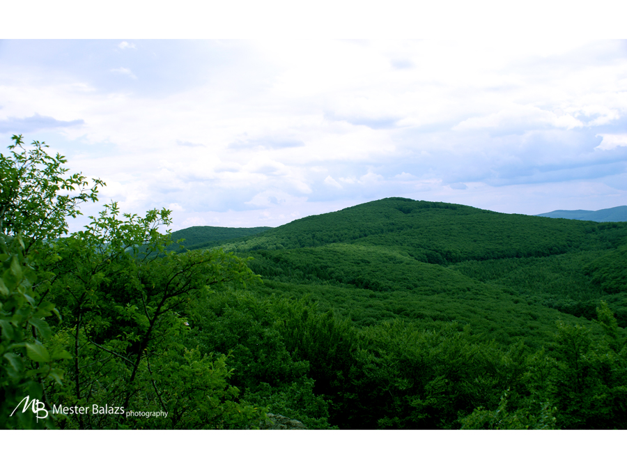 Mountain Scenery 2