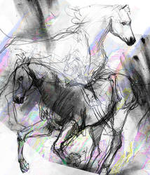 Horses