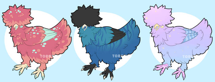 Silkie Chicken Adoptables - OPEN