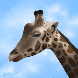 giraffe