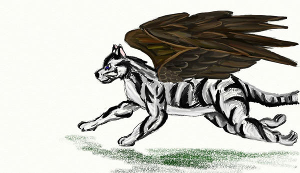 Windstripe by DarkStatic on DeviantArt