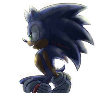 Sonic sit. colored doodle V2