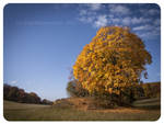 Autumn land by Vampirbiene