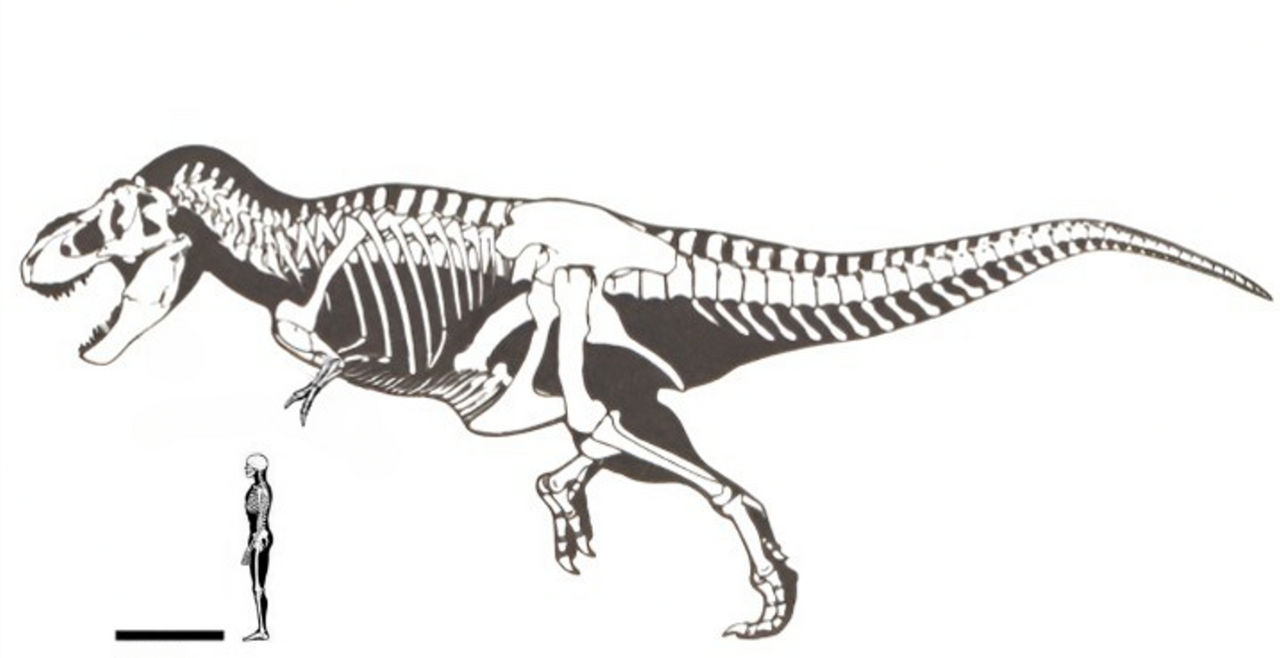 Gregory S Paul s T Rex With Fixed Arms By AWDgamer123 On DeviantArt gregory-s-paul-s-t-rex-with-fixed-arms-by-awdgamer123-on-deviantart