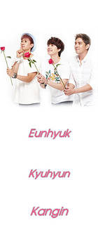 #3 Twitter BG: Eunhyuk, Kyuhyun, Kangin