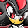 .:Shadowthehedgehog:.