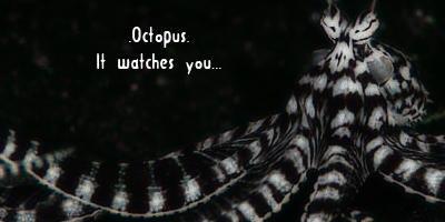 OctoPhobia by hyper-sugar-girl on DeviantArt