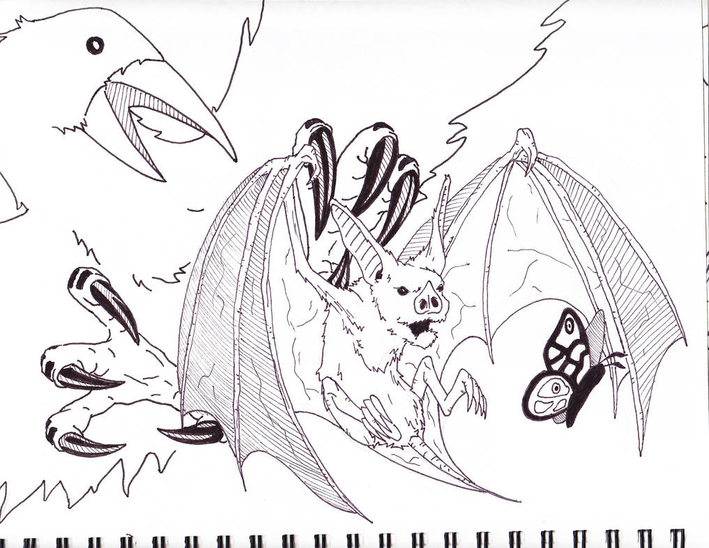 Bird Bat Bug by Escape-to-darkness on DeviantArt